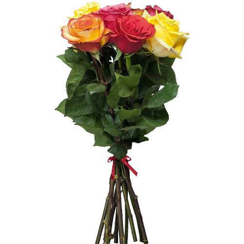 Заказать 7 разноцветных роз с доставкой по Клинцам